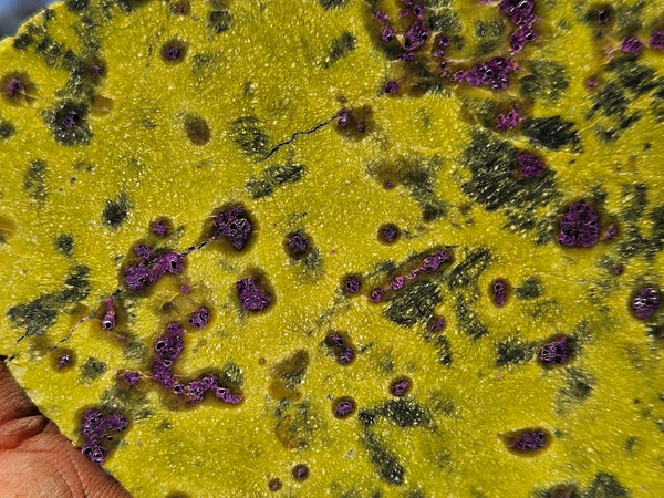 Polished Stichtite in Serpentine slab (Atlantisite) STI154
