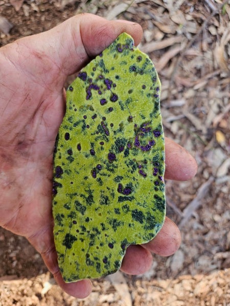 Polished Stichtite in Serpentine slab (Atlantisite) STI154