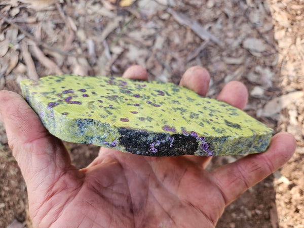 Polished Stichtite in Serpentine slab (Atlantisite) STI154