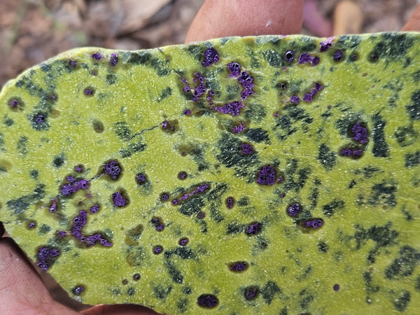 Polished Stichtite in Serpentine slab (Atlantisite) STI154