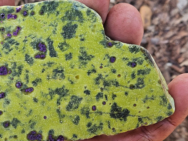Polished Stichtite in Serpentine slab (Atlantisite) STI154
