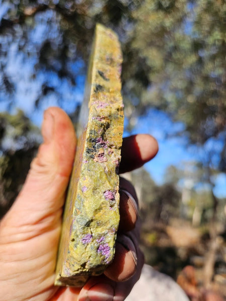 Polished Stichtite in Serpentine slab (Atlantisite) STI155