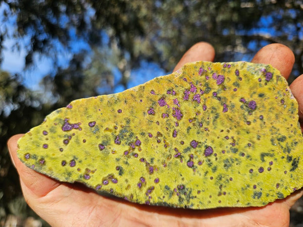 Polished Stichtite in Serpentine slab (Atlantisite) STI155