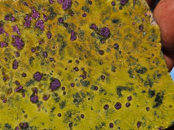 Polished Stichtite in Serpentine slab (Atlantisite) STI155