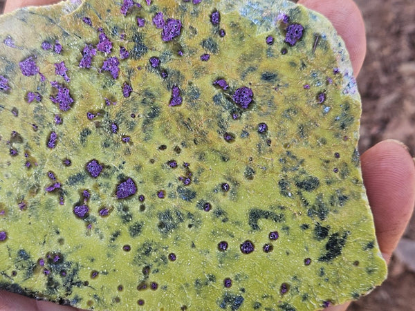 Polished Stichtite in Serpentine slab (Atlantisite) STI155