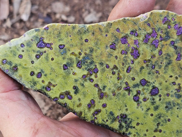 Polished Stichtite in Serpentine slab (Atlantisite) STI155