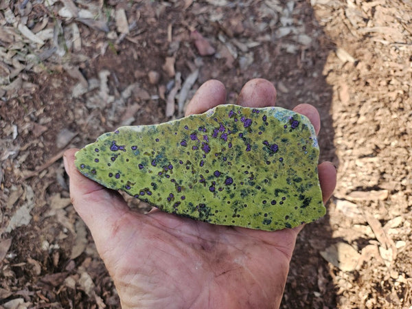 Polished Stichtite in Serpentine slab (Atlantisite) STI155