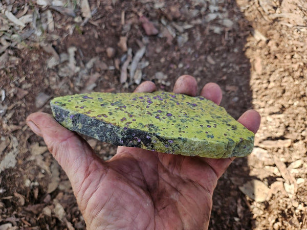 Polished Stichtite in Serpentine slab (Atlantisite) STI155