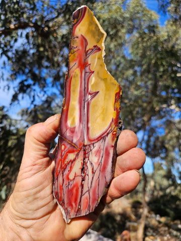 Polished  Mookaite slab MK604