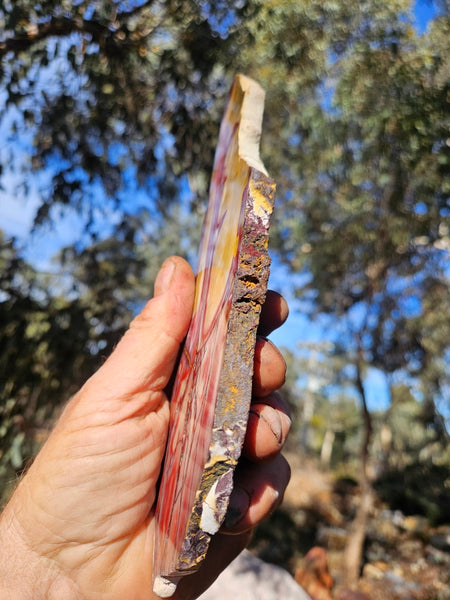 Polished  Mookaite slab MK604