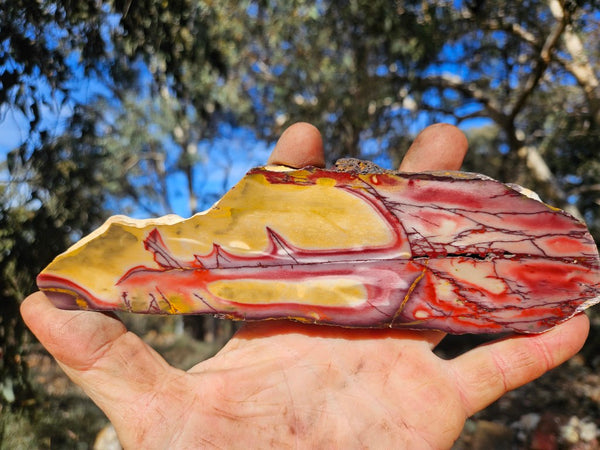 Polished  Mookaite slab MK604