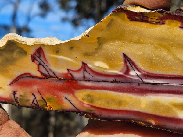 Polished  Mookaite slab MK604