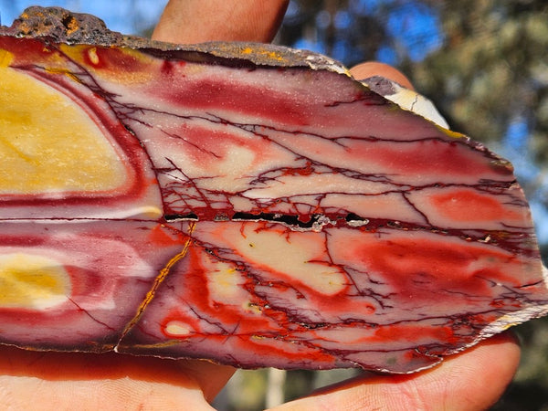 Polished  Mookaite slab MK604