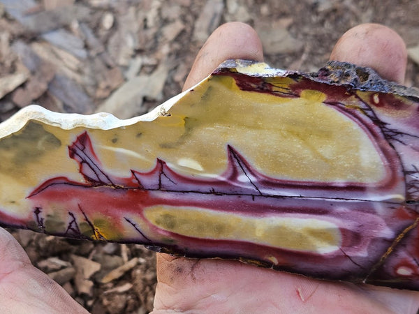 Polished  Mookaite slab MK604
