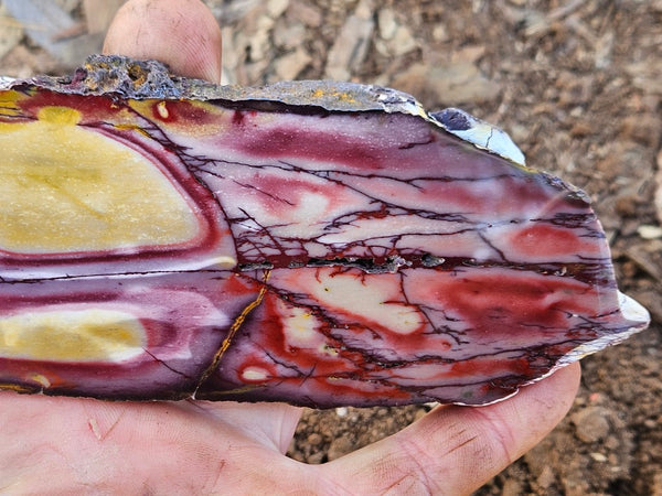 Polished  Mookaite slab MK604