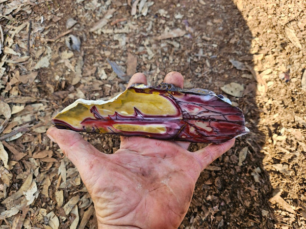 Polished  Mookaite slab MK604