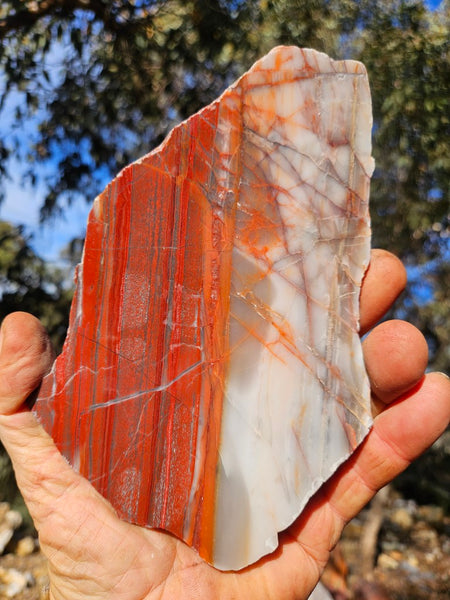 Polished Marble Bar Chert  slab MB134