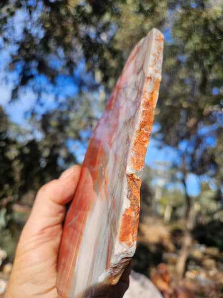Polished Marble Bar Chert  slab MB134