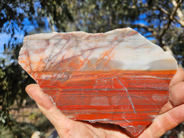 Polished Marble Bar Chert  slab MB134