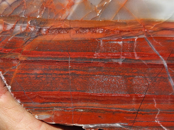 Polished Marble Bar Chert  slab MB134