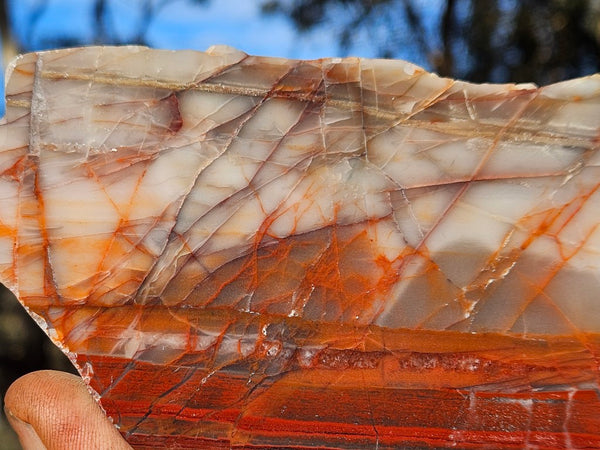 Polished Marble Bar Chert  slab MB134