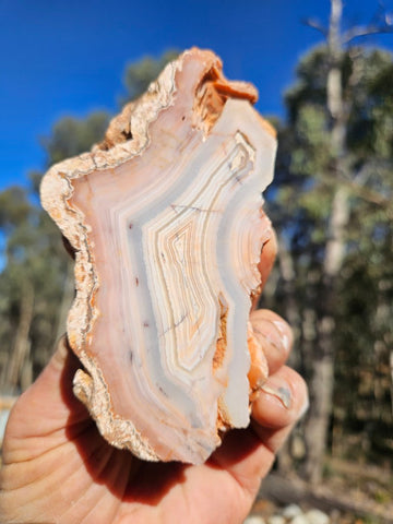 Polished Pilbara Agate PA293