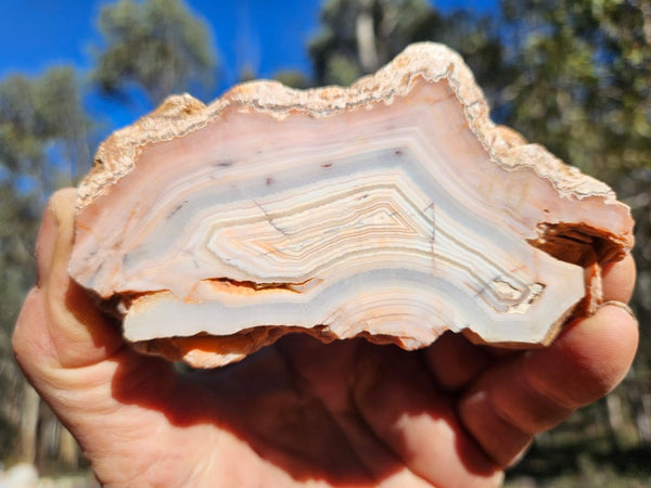 Polished Pilbara Agate PA293