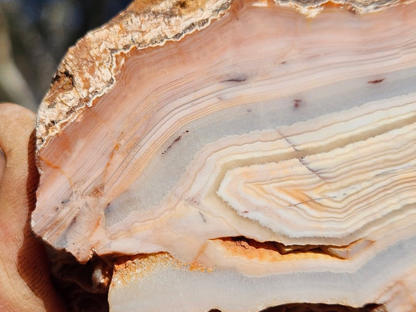 Polished Pilbara Agate PA293
