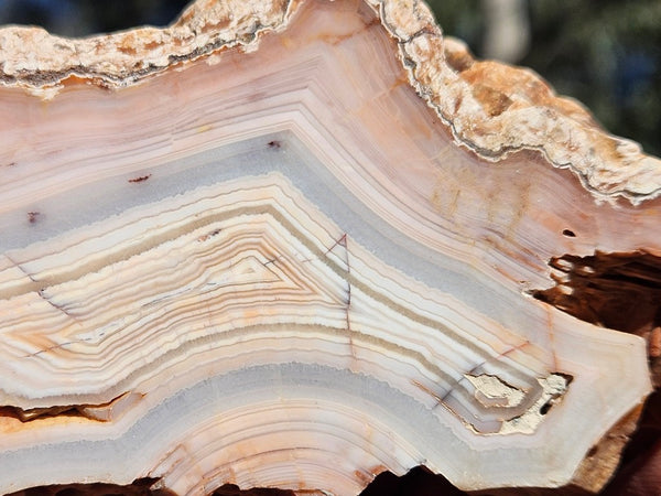 Polished Pilbara Agate PA293
