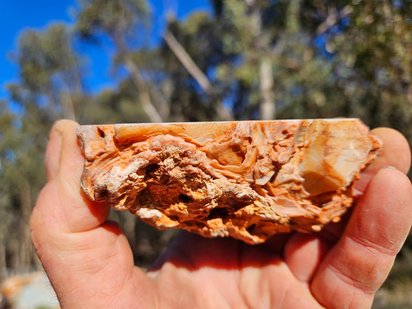 Polished Pilbara Agate PA293