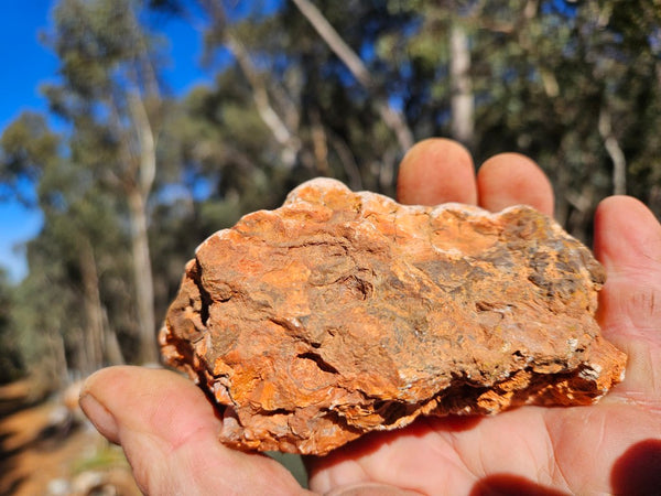 Polished Pilbara Agate PA293
