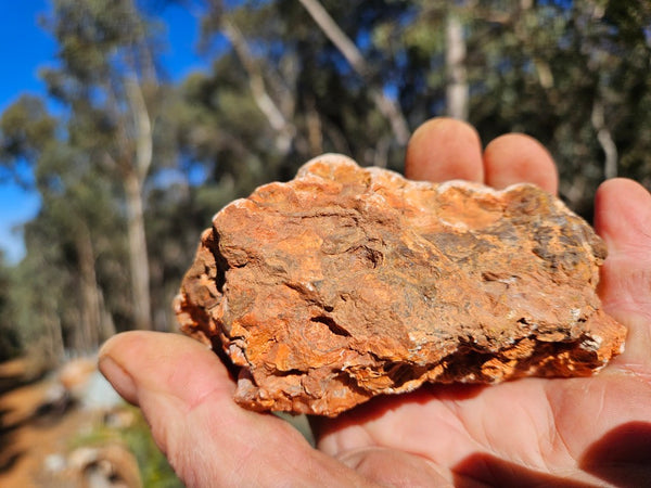 Polished Pilbara Agate PA293