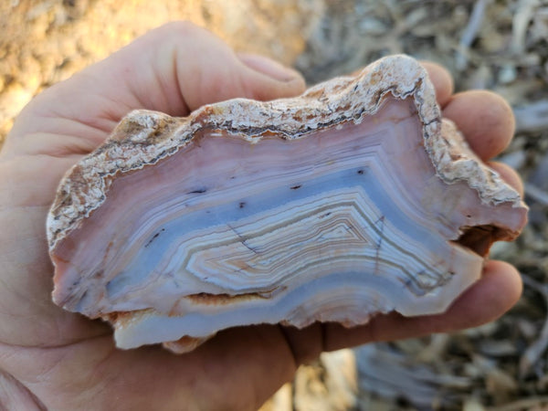 Polished Pilbara Agate PA293
