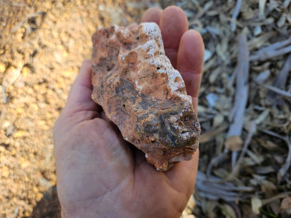 Polished Pilbara Agate PA293