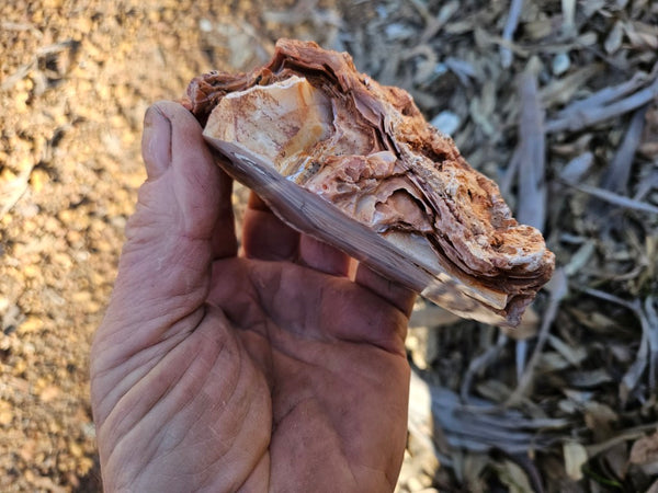 Polished Pilbara Agate PA293