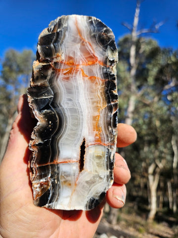 Polished Pilbara Agate PA292