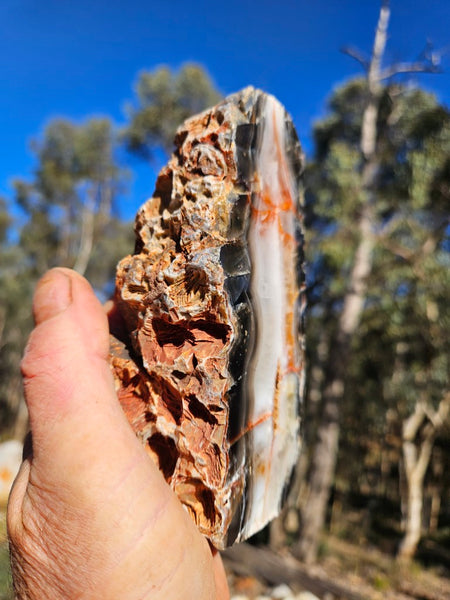 Polished Pilbara Agate PA292