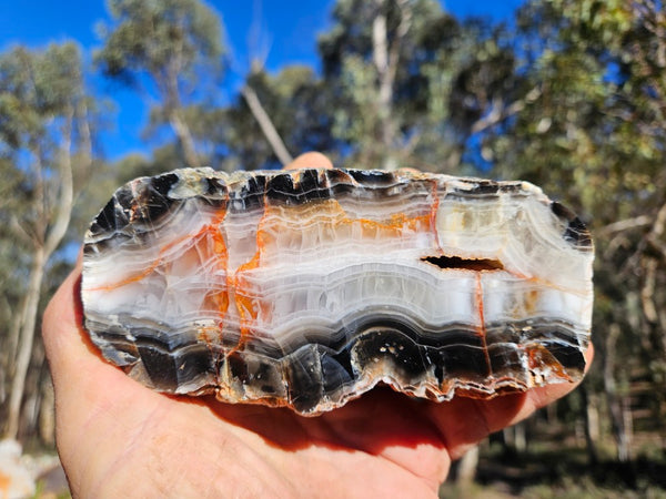 Polished Pilbara Agate PA292