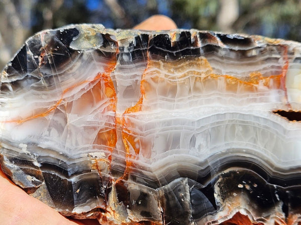 Polished Pilbara Agate PA292