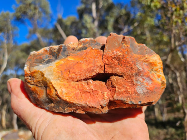 Polished Pilbara Agate PA292