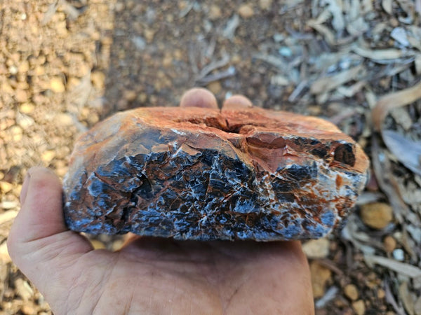 Polished Pilbara Agate PA292