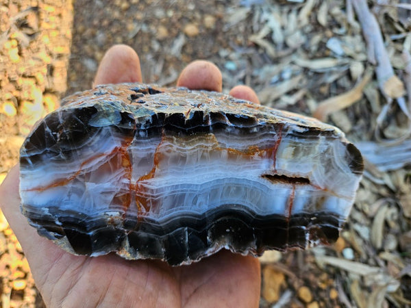 Polished Pilbara Agate PA292