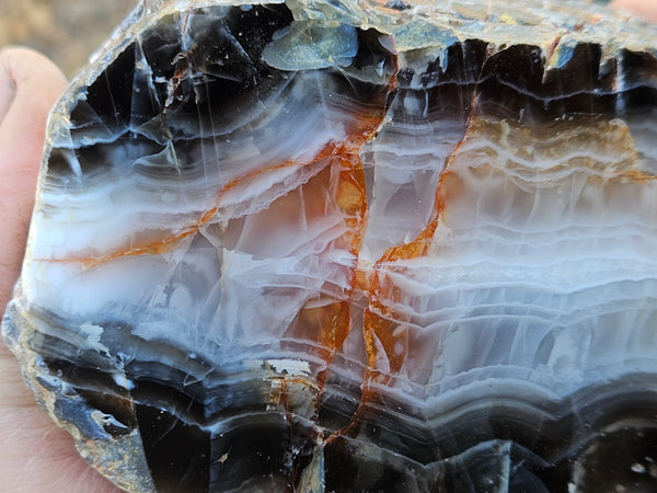 Polished Pilbara Agate PA292