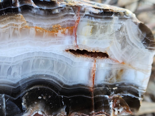 Polished Pilbara Agate PA292