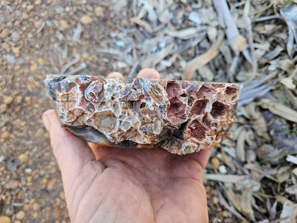 Polished Pilbara Agate PA292