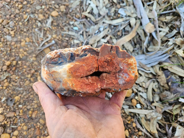 Polished Pilbara Agate PA292