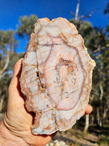 Polished Pilbara Agate PA291