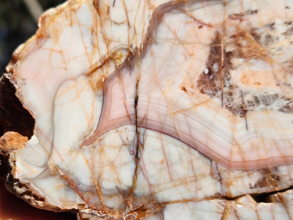 Polished Pilbara Agate PA291
