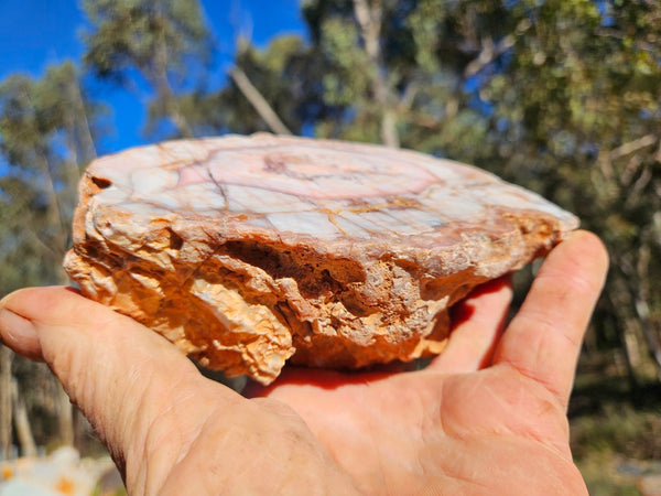 Polished Pilbara Agate PA291