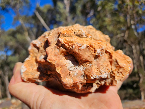 Polished Pilbara Agate PA291